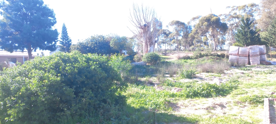 0 Bedroom Property for Sale in Albertinia Western Cape